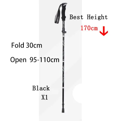 Walking Hiking Stick