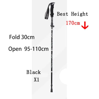 Walking Hiking Stick